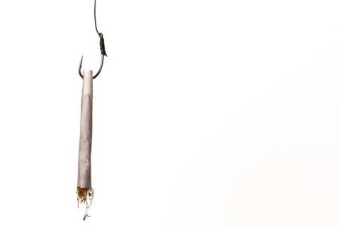 Marijuana cigarette hanging from a hook drug addiction concept close-up isolated on white background