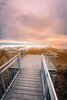 Viewing platform in the moor at the lake at sunset
