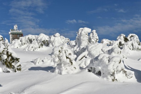 Icy and snowy forest on the Brocken