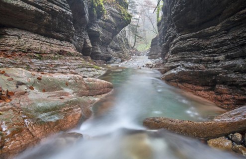 Taugl in the Davidgraben