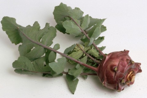 Blue kohlrabi