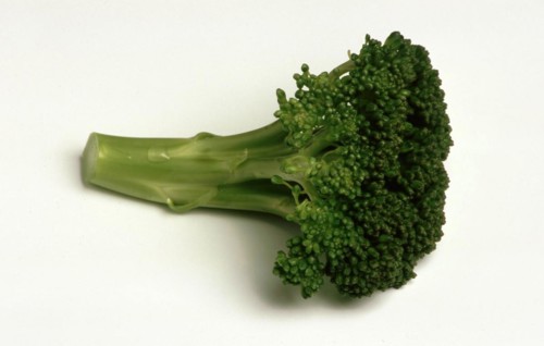 Broccoli