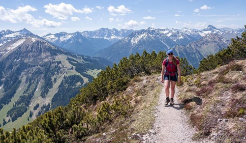 Hiker