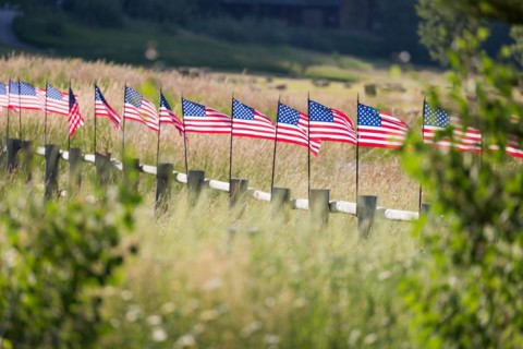 Row of american flags waving in the wind along A fence