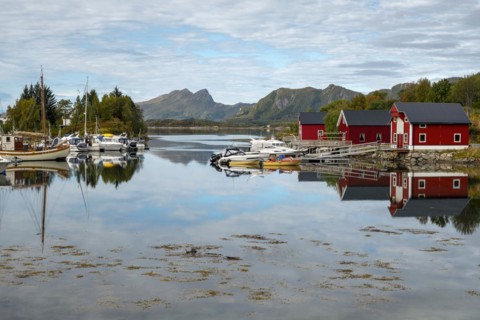 Red rorbu houses with boats in the harbour