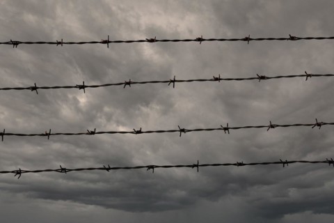 Four rows of barbed wire