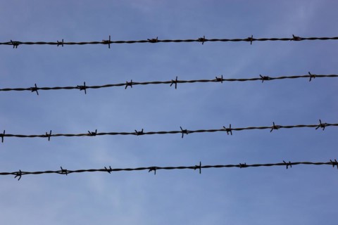 Four rows of barbed wire
