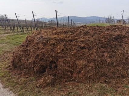 Agriculture