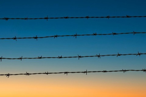 Four rows of barbed wire
