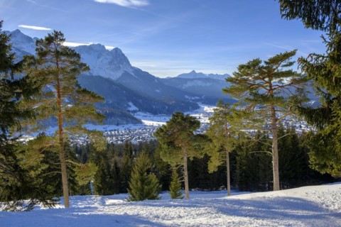 Winter landscape
