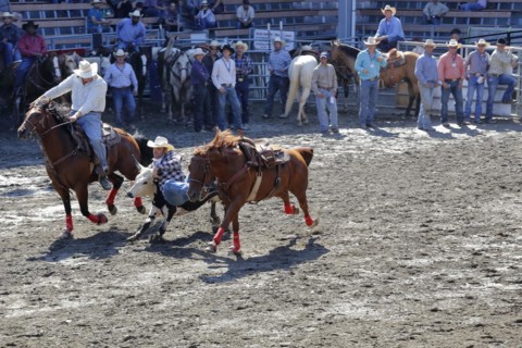Rodeo competition