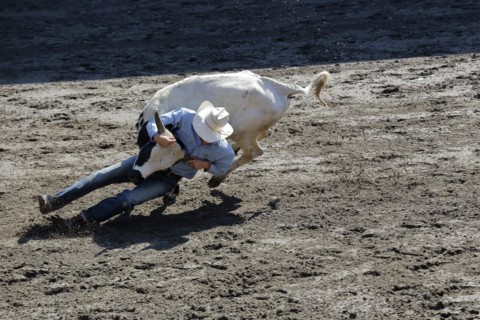 Rodeo competition