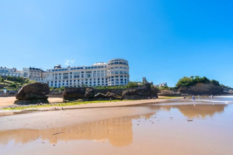 Green moss at low tide on the beach under the Basta Rock of Biarritz beach