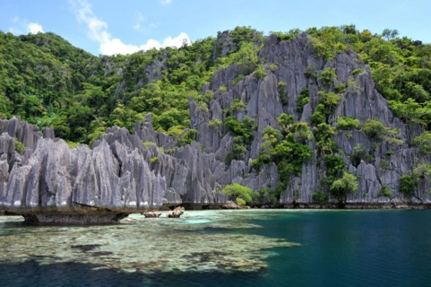 Limestone rock