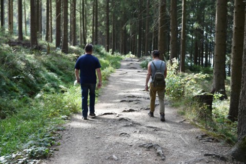 Woman and man hiking in the Darss Forest