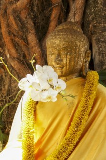 Buddha statue