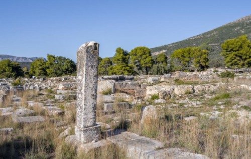 Column