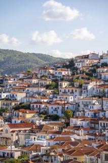 Sea of houses