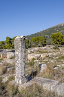 Column