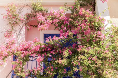 Typical house in the greek village Assos
