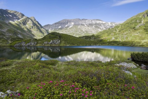 Giglachsee with alpine bush