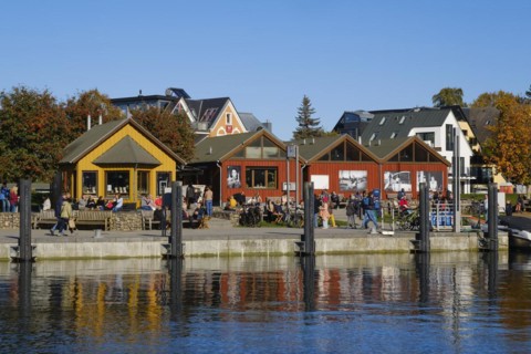 Building at the harbour