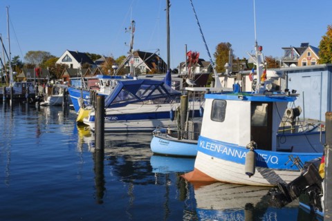 Boats in the harbour