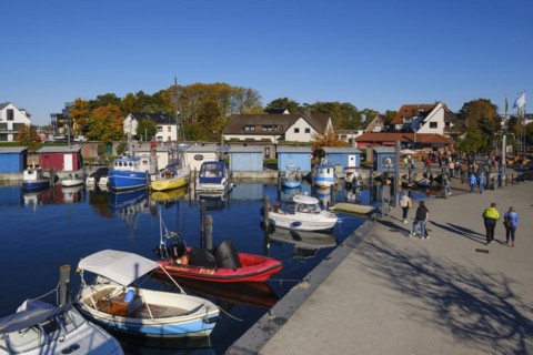 Boats in the harbour