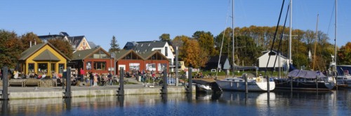 Boats and buildings in the harbour