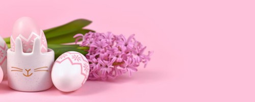 Pink Easter banner with eggs and egg cup in shape of bunny with Hyacinth spring flower on pink background
