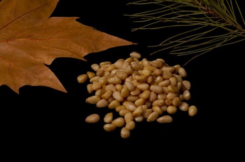 Pine nuts on slices of wood dried leaves and pine branch