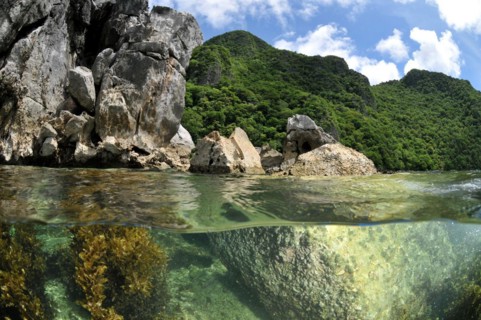 Limestone rock