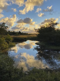 Evening clouds reflected in a small lake
