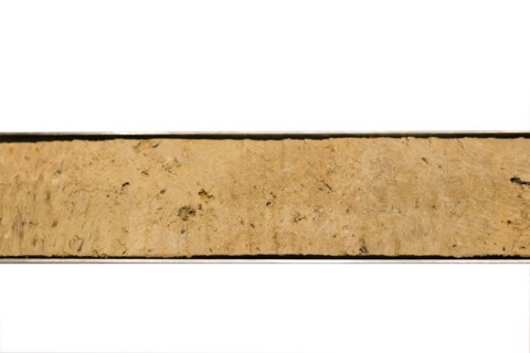 Drill core of a test borehole on a black fallow