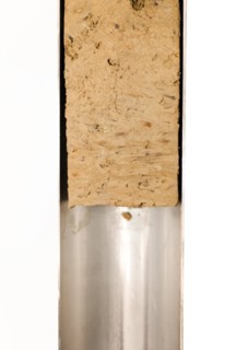 Drill core of a test borehole on a black fallow