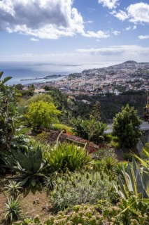 Funchal Botanical Garden