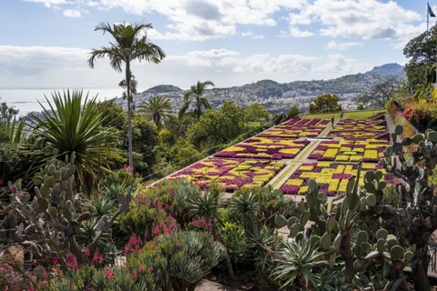 Funchal Botanical Garden