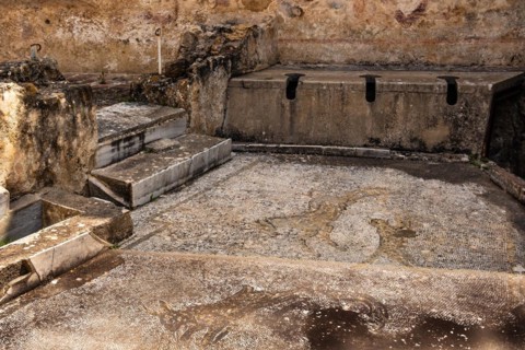 Latrine