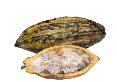 A whole and a halved cocoa fruit