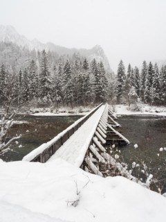 Winter landscape