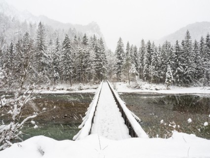Winter landscape