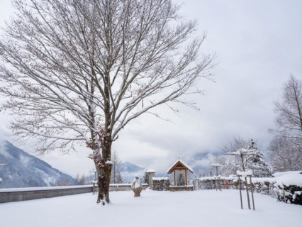 Fresh snow