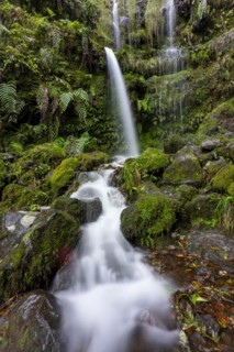 Waterfall on a rock face overgrown with ferns and moss