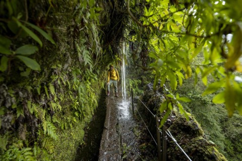 Hikers on a narrow path along a levada with a waterfall