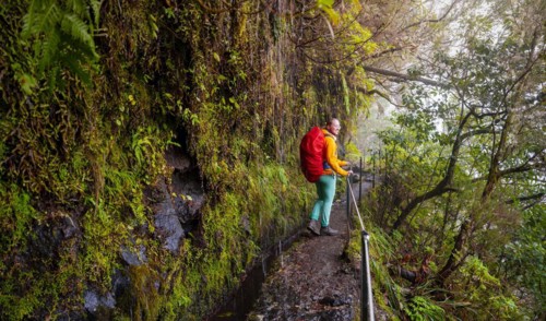 Hiker on a Levada