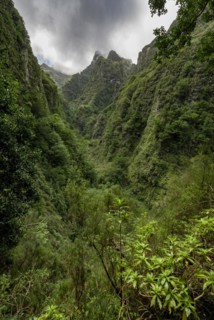 View of steep forested cloud-covered mountains