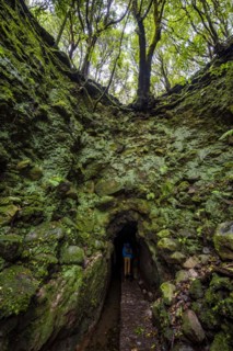 Hiker on a hiking trail