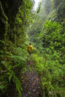 Hikers on a narrow footpath