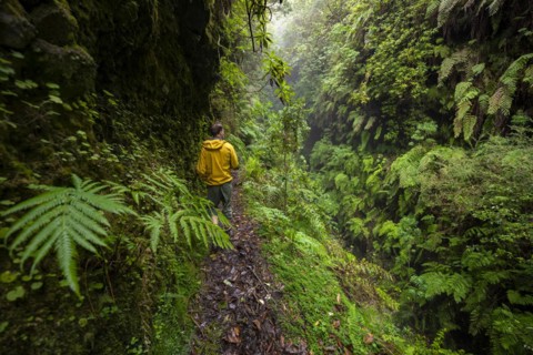 Hikers on a narrow footpath