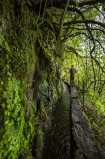 Hikers on a narrow path along a levada